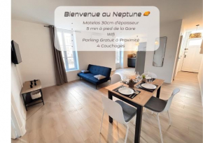 L'écrin de Roanne, 1st floor 4 pers Neptune 2